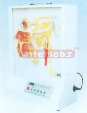 ELECTRIC MODEL OF AUTONOMIC  INNERVATION ON HEAD